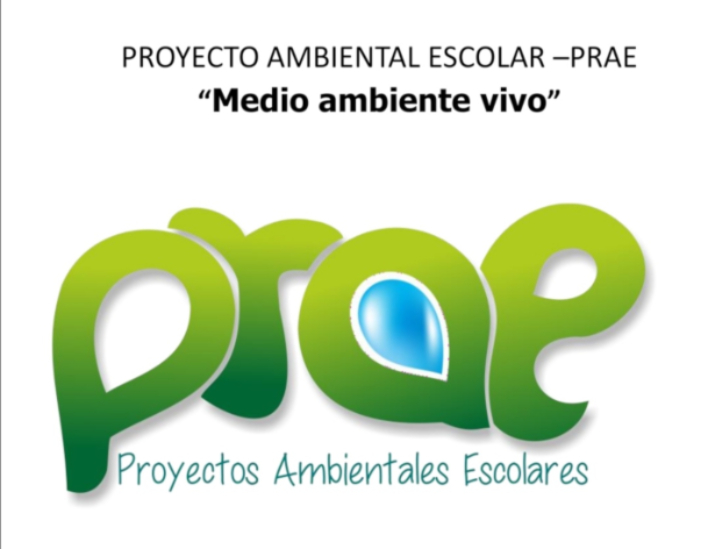 Proyecto Ambiental Joaquiniano